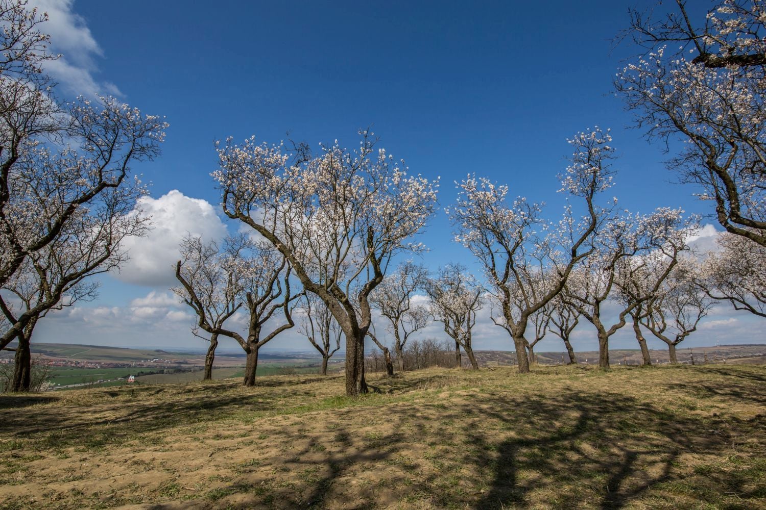 Krajinou domova II - ČT, 2017