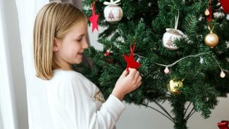 Náhledový obrázek - Bezpečné zdobení vánočního stromku: prevence pádů, pořezání nebo poranění dětí