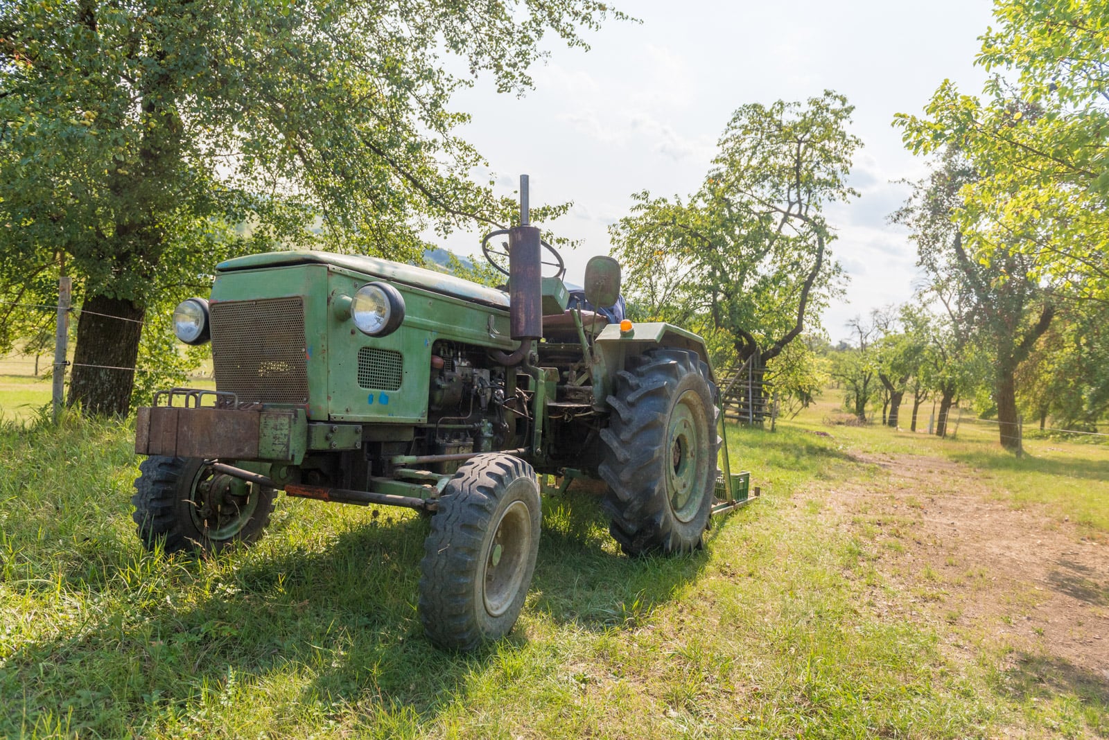 Podívejte se, jak Tomšíčkovi hospodaří na rodinné farmě