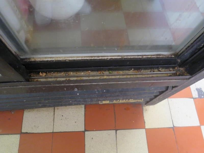 Restaurace AVION, Olomouc - mimojiné:  Výskyt plísní v chladicích zařízeních, výrazně zanedbaný úklid
hromadění odpadů, výrazné znečištění všech prostor, nečistoty na stěnách, nečistoty na podlaze, nečistoty na regálech či zařízeních, silně znečistěná chladicí zařízení (nejsou jiné skladovací prostory), poškození stěn