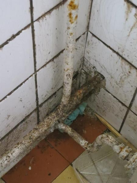 Restaurace AVION, Olomouc - mimojiné:  Výskyt plísní v chladicích zařízeních, výrazně zanedbaný úklid
hromadění odpadů, výrazné znečištění všech prostor, nečistoty na stěnách, nečistoty na podlaze, nečistoty na regálech či zařízeních, silně znečistěná chladicí zařízení (nejsou jiné skladovací prostory), poškození stěn