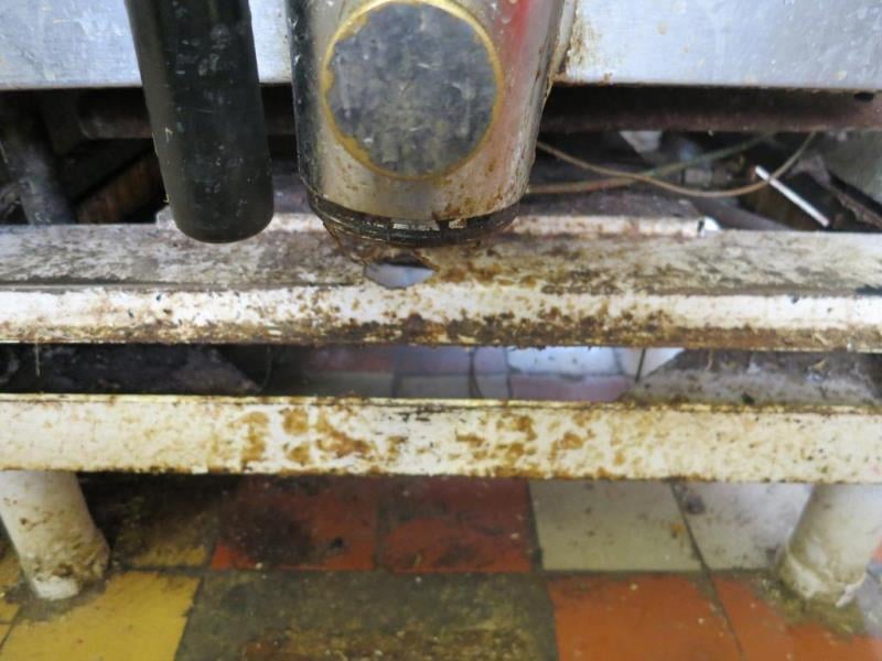 Restaurace AVION, Olomouc - mimojiné:  Výskyt plísní v chladicích zařízeních, výrazně zanedbaný úklid
hromadění odpadů, výrazné znečištění všech prostor, nečistoty na stěnách, nečistoty na podlaze, nečistoty na regálech či zařízeních, silně znečistěná chladicí zařízení (nejsou jiné skladovací prostory), poškození stěn