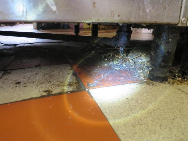 Restaurace AVION, Olomouc - mimojiné:  Výskyt plísní v chladicích zařízeních, výrazně zanedbaný úklid
hromadění odpadů, výrazné znečištění všech prostor, nečistoty na stěnách, nečistoty na podlaze, nečistoty na regálech či zařízeních, silně znečistěná chladicí zařízení (nejsou jiné skladovací prostory), poškození stěn