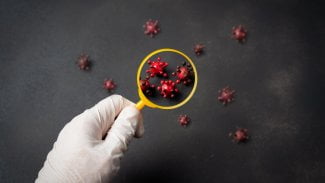 Virus