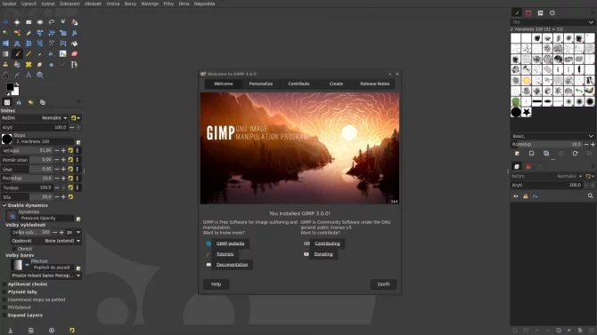 GIMP 3.0