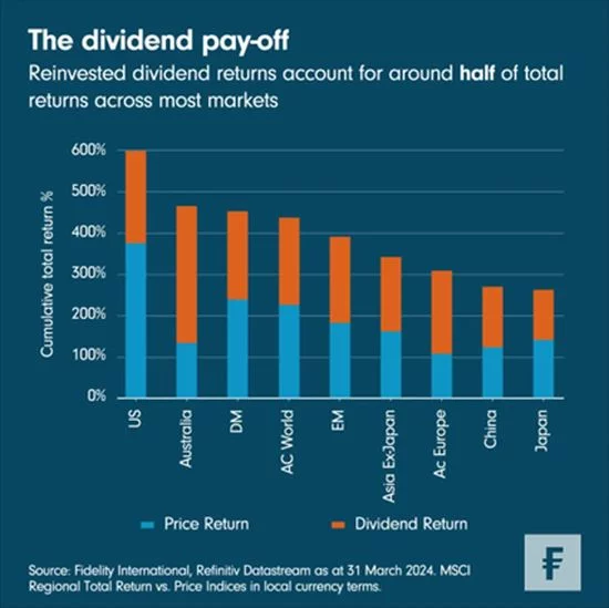 Vyplácení dividend