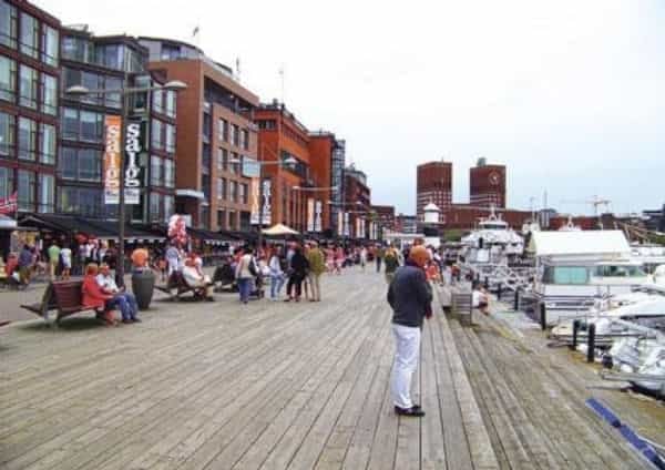 2014-02-zapomec588te-na-sruby-s-travnatou-stc599echou-a-modrookc