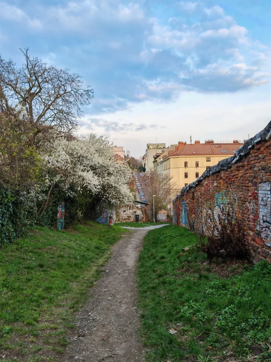 Hlavní 50Mpx fotoaparát