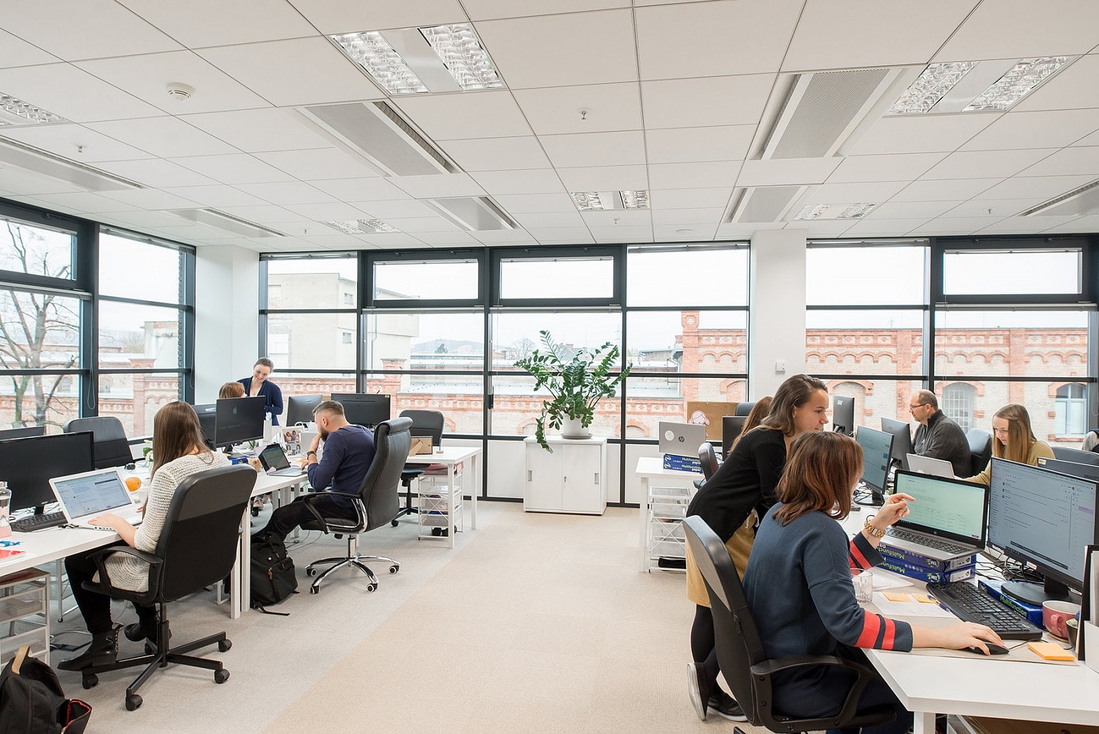 Jak vypadá Czechitas House v Brně