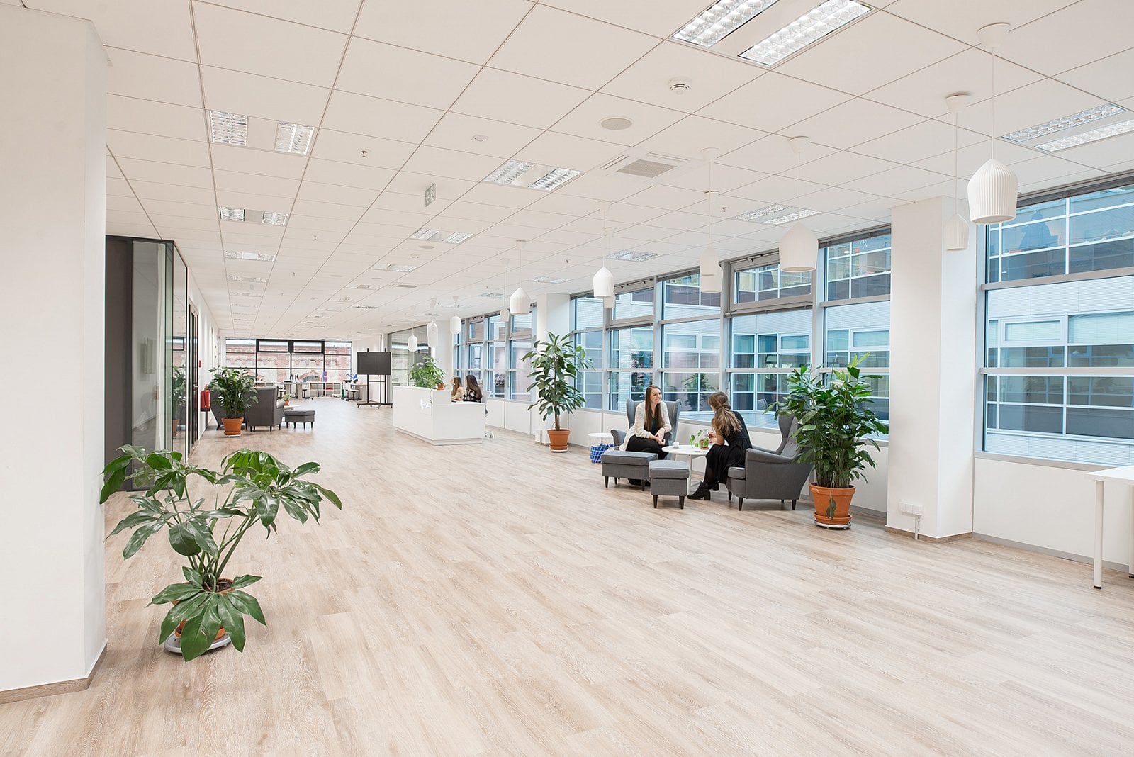 Jak vypadá Czechitas House v Brně