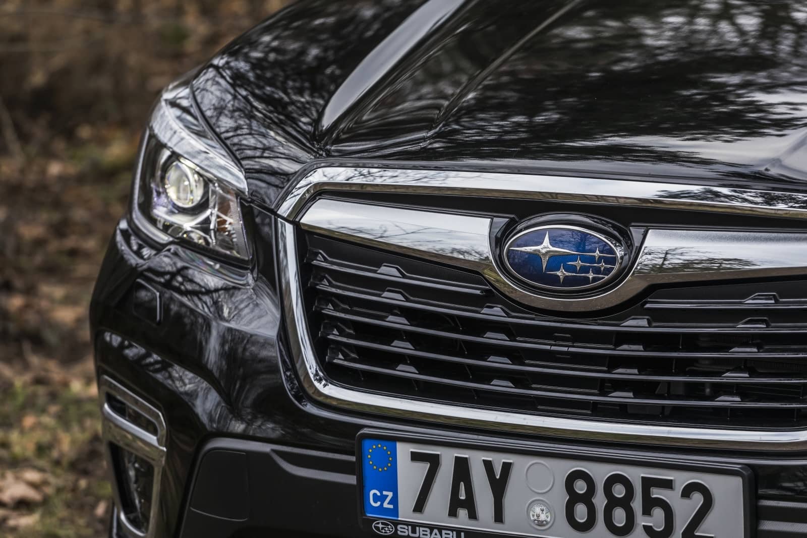 2020-04-aDMB2020_Forester-e-boxer-A7-6543.jpg