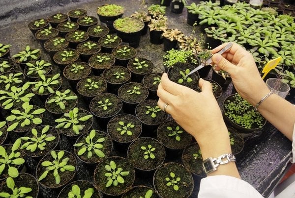 2012-12-prc3a1ce-vc3bdzkumnc3adkc5af-technickc3a9-c5a1koly-sssa-