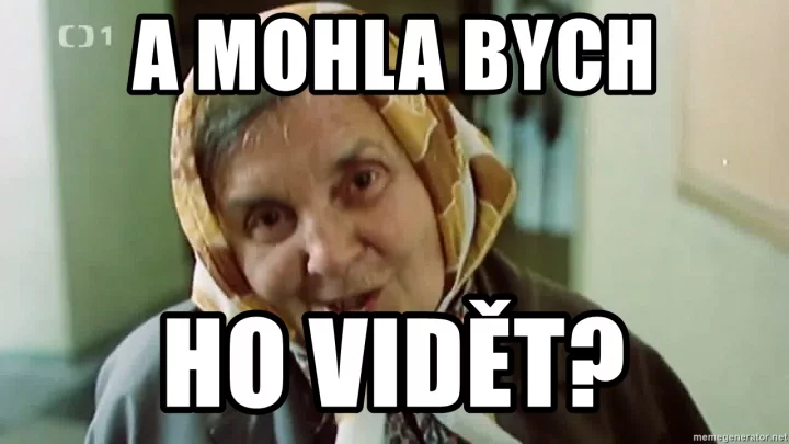 Paní Jechová se ptá, jestli by ho mohla vidět.