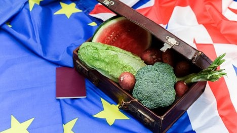 Náhledový obrázek - Británie vloni vyvezla do EU podstatně méně zboží než v roce 2018. Brexit nejvíce dopadl na oděvní průmysl