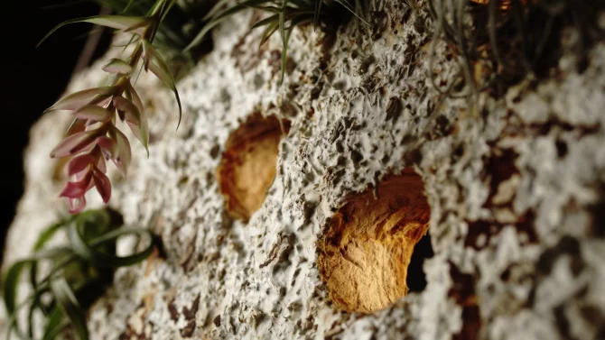 Je libo kabelku z podhoubí? Nebo tenisky, ba dokonce i tiny house? Na mycelium coby materiál budoucnosti sází firmy doma i ve světě