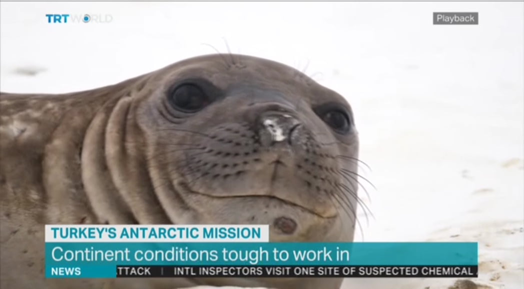 Nové satelitní FTA kanály duben 2018