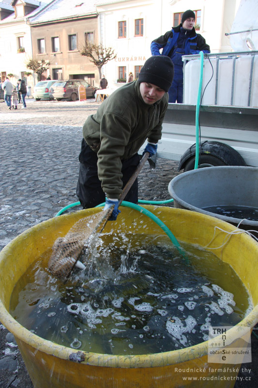 Roudnické farmářské trhy
