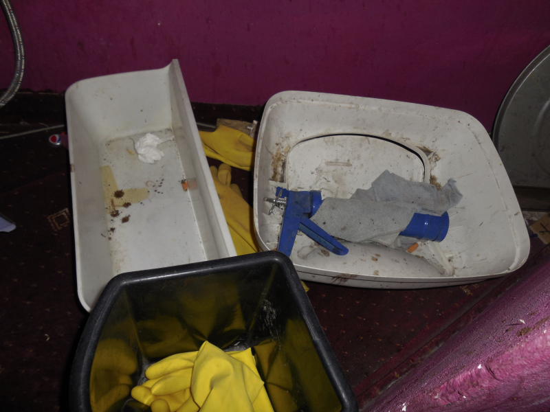 Za barovým pultem, kde se připravovaly nápoje a pokrmy, inspektoři zjistili množství myšího trusu. Ten se nacházel i ve skladu potravin, na chodbách a v šatně zaměstnanců, část zázemí zapáchala myšinou. Provozovatel také nezajistil dostatečný, pravidelný úklid a odvoz odpadu.