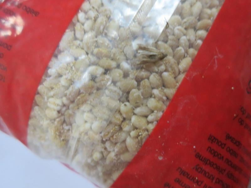 Lien Le Thi, Lom u Mostu: Ječné kroupy - uvnitř potraviny se vyskytovaly stopy po činnosti škůdců - pavučinky, zámotky. Potravina měla poškozený obal činností škůdců (drobné dírky), pavučinky byly i na vnější straně obalu. V blízkosti potraviny se vyskytovali mrtví škůdci.
Potravina měla prošlé datum minimální trvanlivosti.