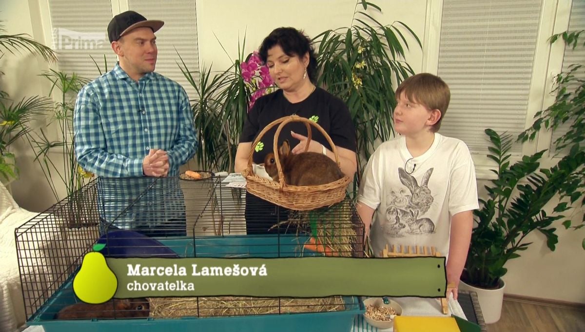 Nejzajímavější satelitní kanály v lednu 2017