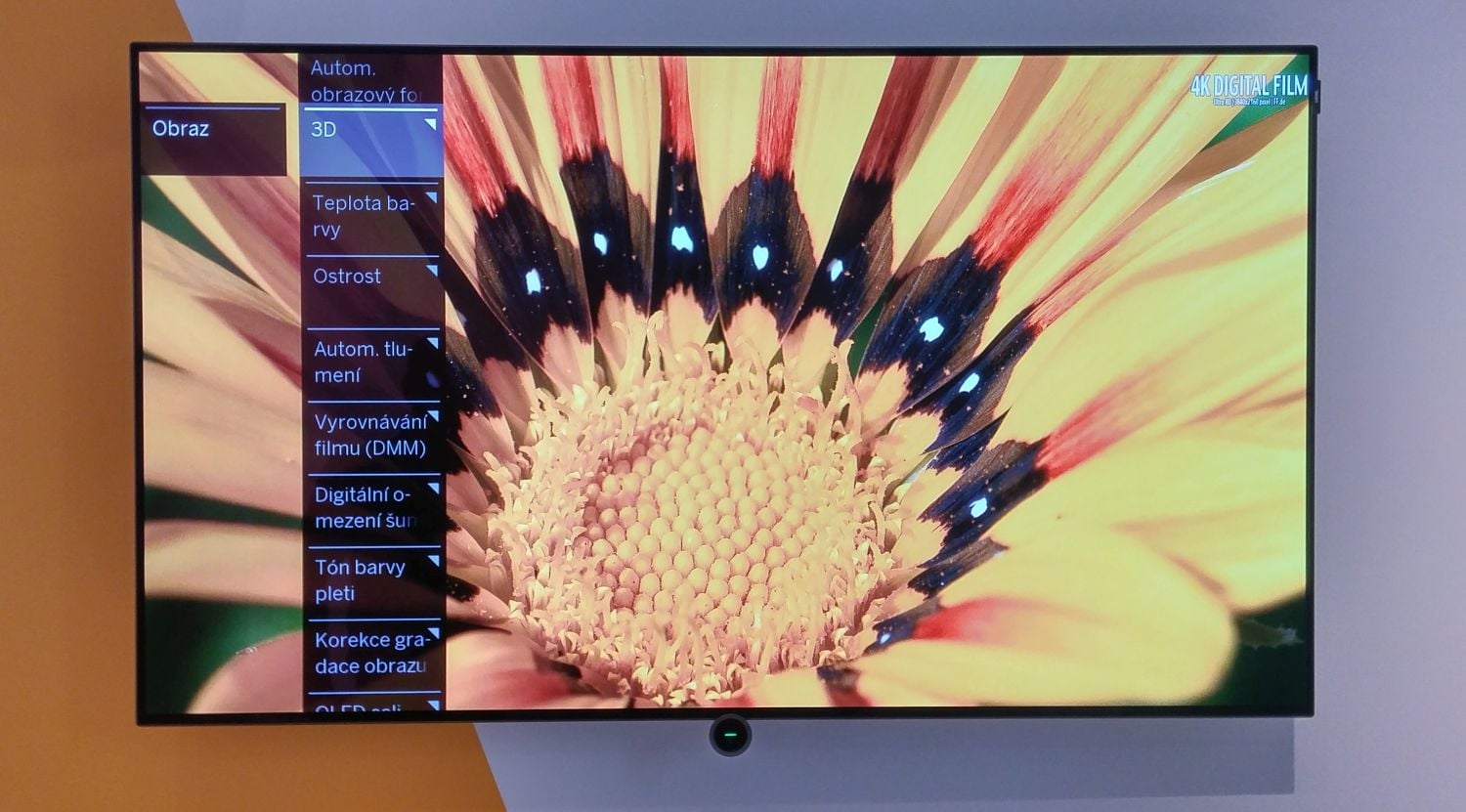 Lowe Bild 7 v Česku