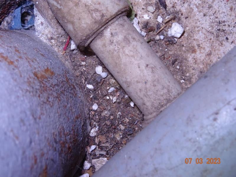 Tady museli letos v březnu na týden zavřít