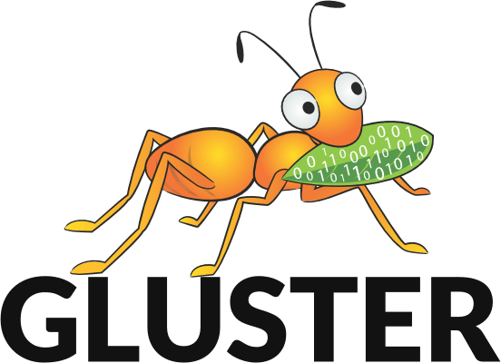 mravenec Gluster