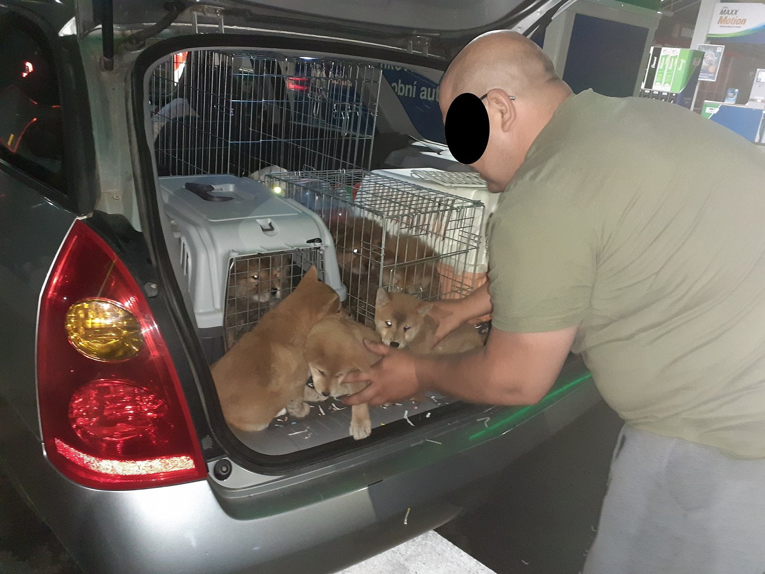 Byznys se zvířaty: Celní správa ČR objevila auto plné štěňat