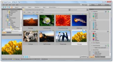 Uživatelské rozhraní ACDSee 14 (režim Manage)