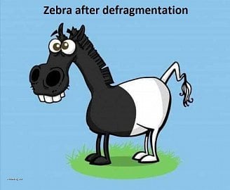 Zebra po defragmentaci