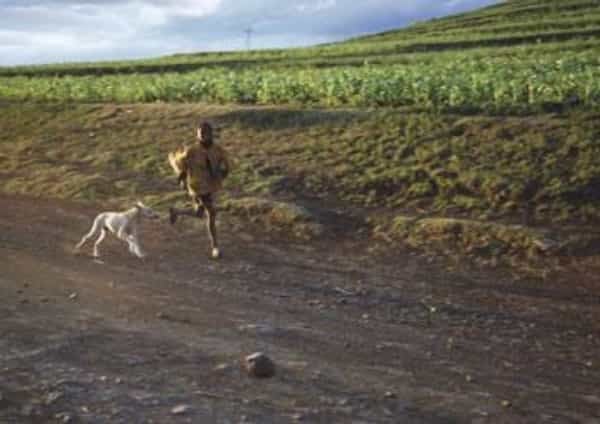 2011-10-afrika-c5beebrajc3adcc3ad-aneb-jc3a1-po-tobc49b-kamenem-