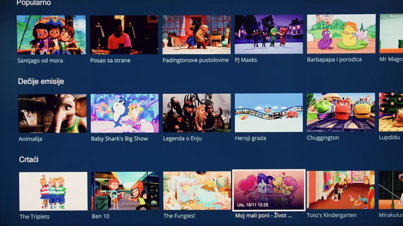 Sekce dle typu pořadu