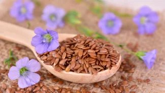 Náhledový obrázek - Lněné semínko je v těhotenství dobré na zácpu. Konzumovat by se mělo mleté