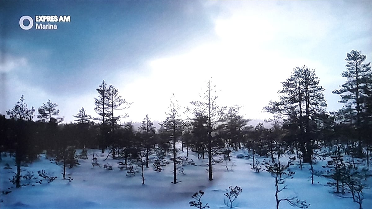 Ukázka příjmu - Regionální multiplex 8