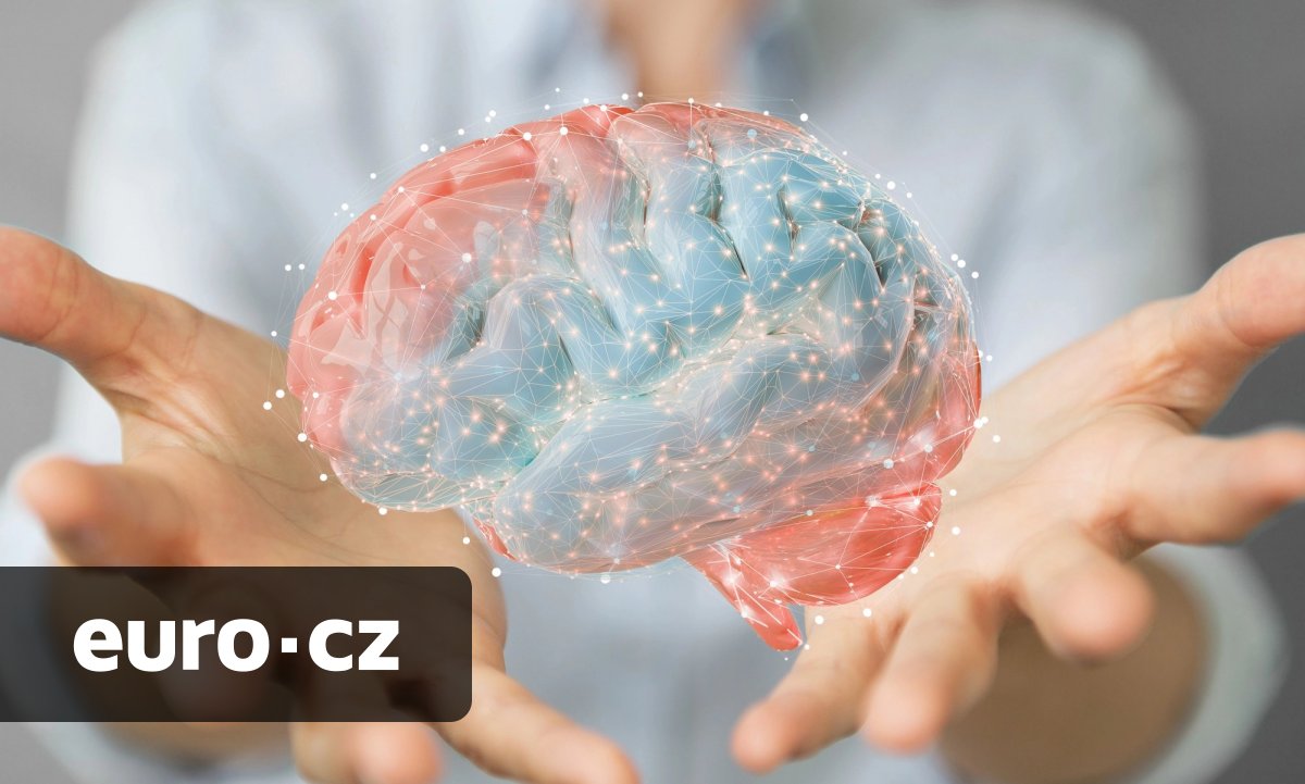 Konkurence pro Muskův Neuralink? Španělský startup Inbrain získal 50 milionů dolarů na rozvoj svého mozkového implantátu