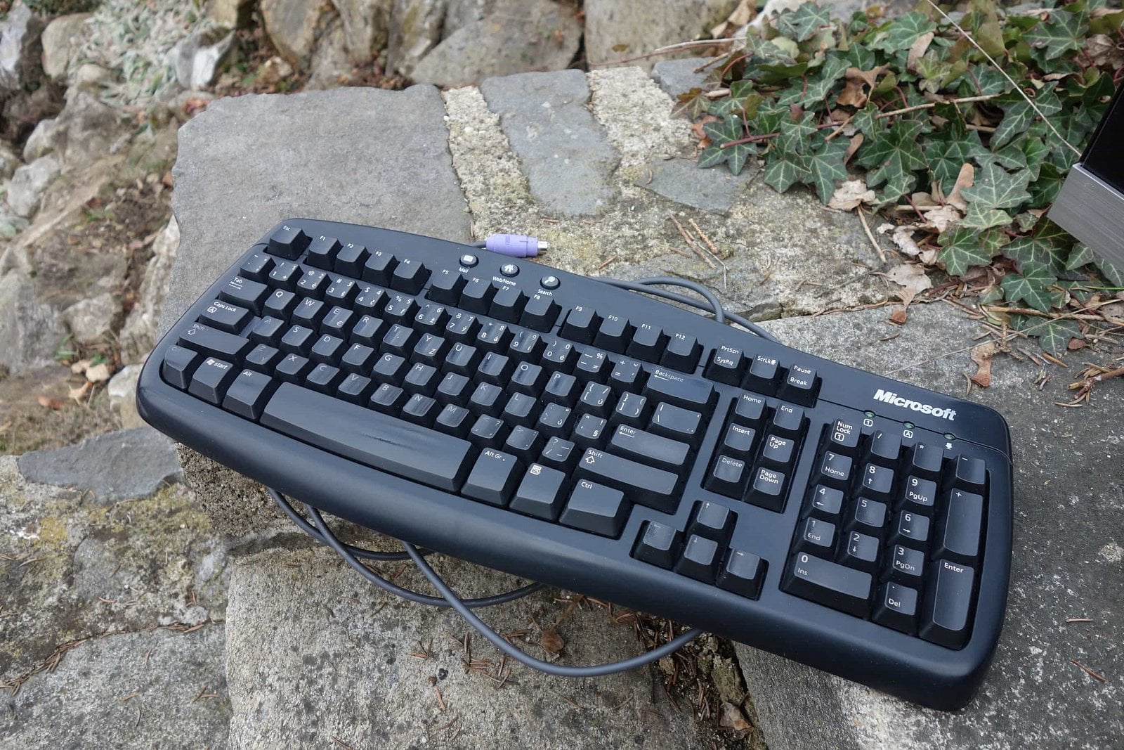 Microsoft Basic Keyboard