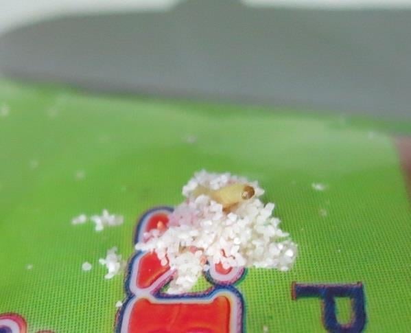 Van Dung Tran, Duchcov: PŠENIČNÁ KRUPICA JEMNÁ DEHYDROVANÁ - obaly potravin byly poškozené činností škůdců, byly na nich patrné pavučinky. Uvnitř potraviny se vyskytovali živí škůdci v různých fázích vývoje - červi a kukly. Výskyt škůdců byl zjištěn i na provozovně. Na provozovně byl dne 27. 9. 2017 uložen zákaz užívání prostor.