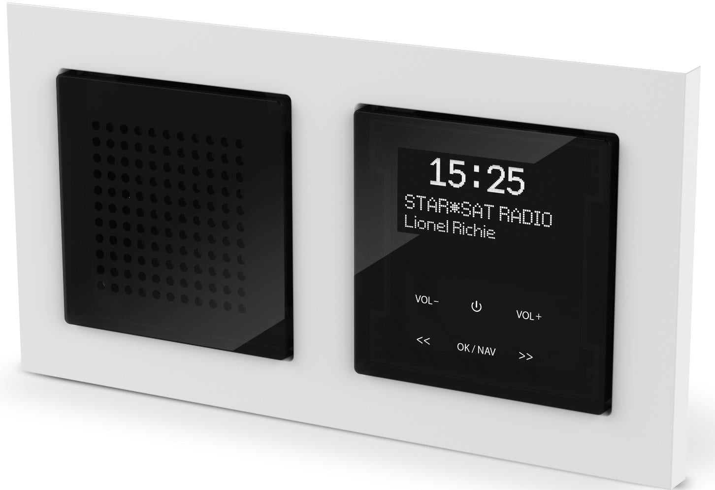 Schneider Electric DAB+ Merten