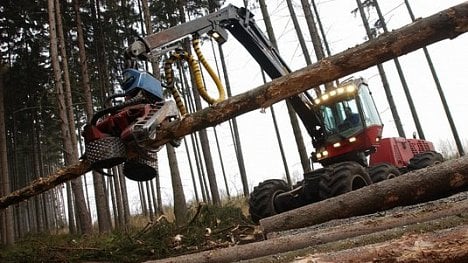 Náhledový obrázek - Třímiliardový tendr Lesů ČR vyhrála skupina PETRA