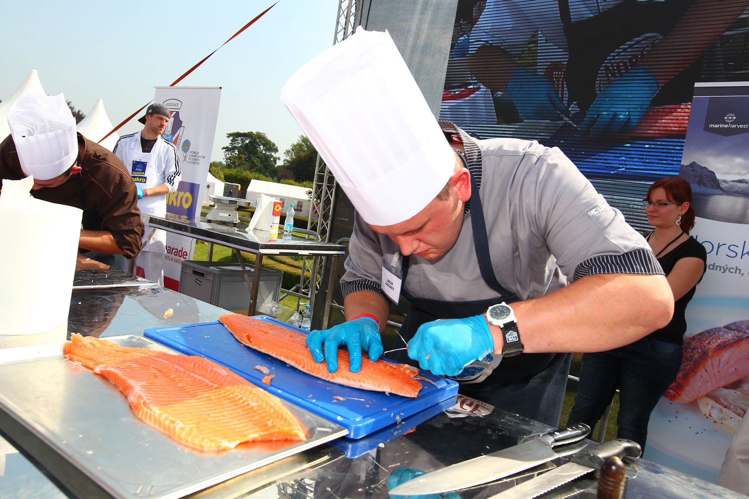 MAKRO Mistrovství ČR ve filetování čerstvého lososa