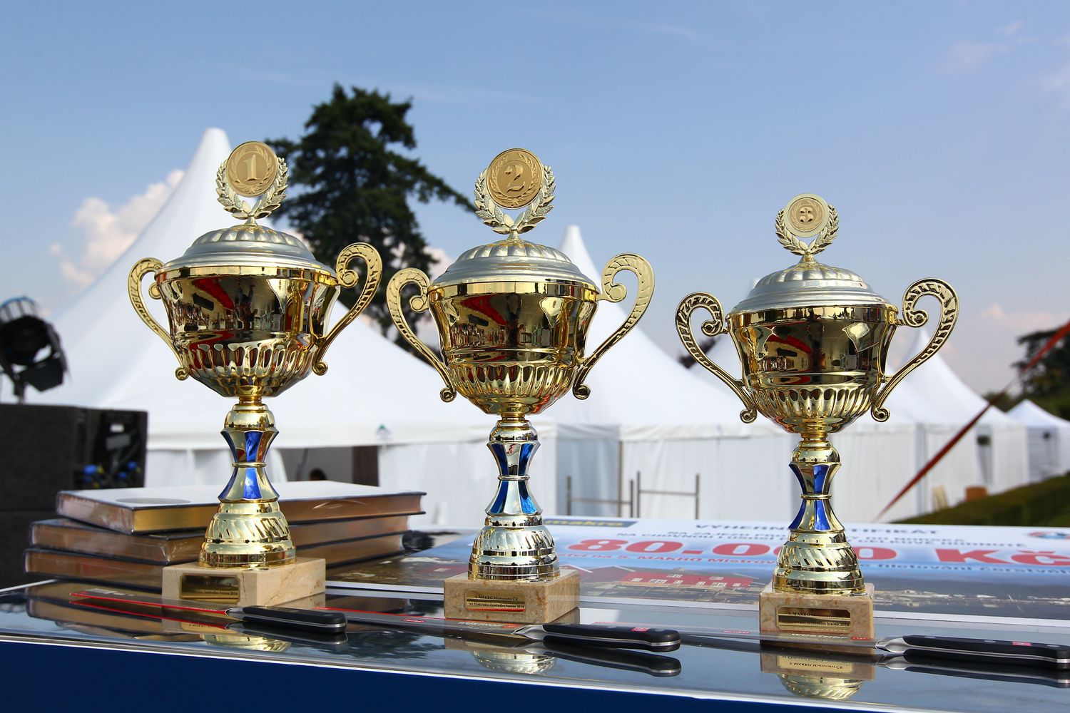 MAKRO Mistrovství ČR ve filetování čerstvého lososa