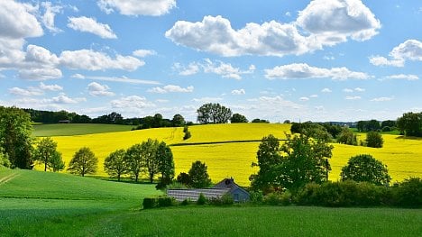 Náhledový obrázek - Jak bylo, když jste se narodili? Česká služba Ventusky nabízí vedle předpovědi i archiv počasí 40 let nazpět