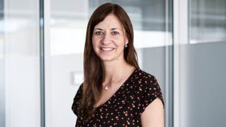 Petra Novotná, IceWarp