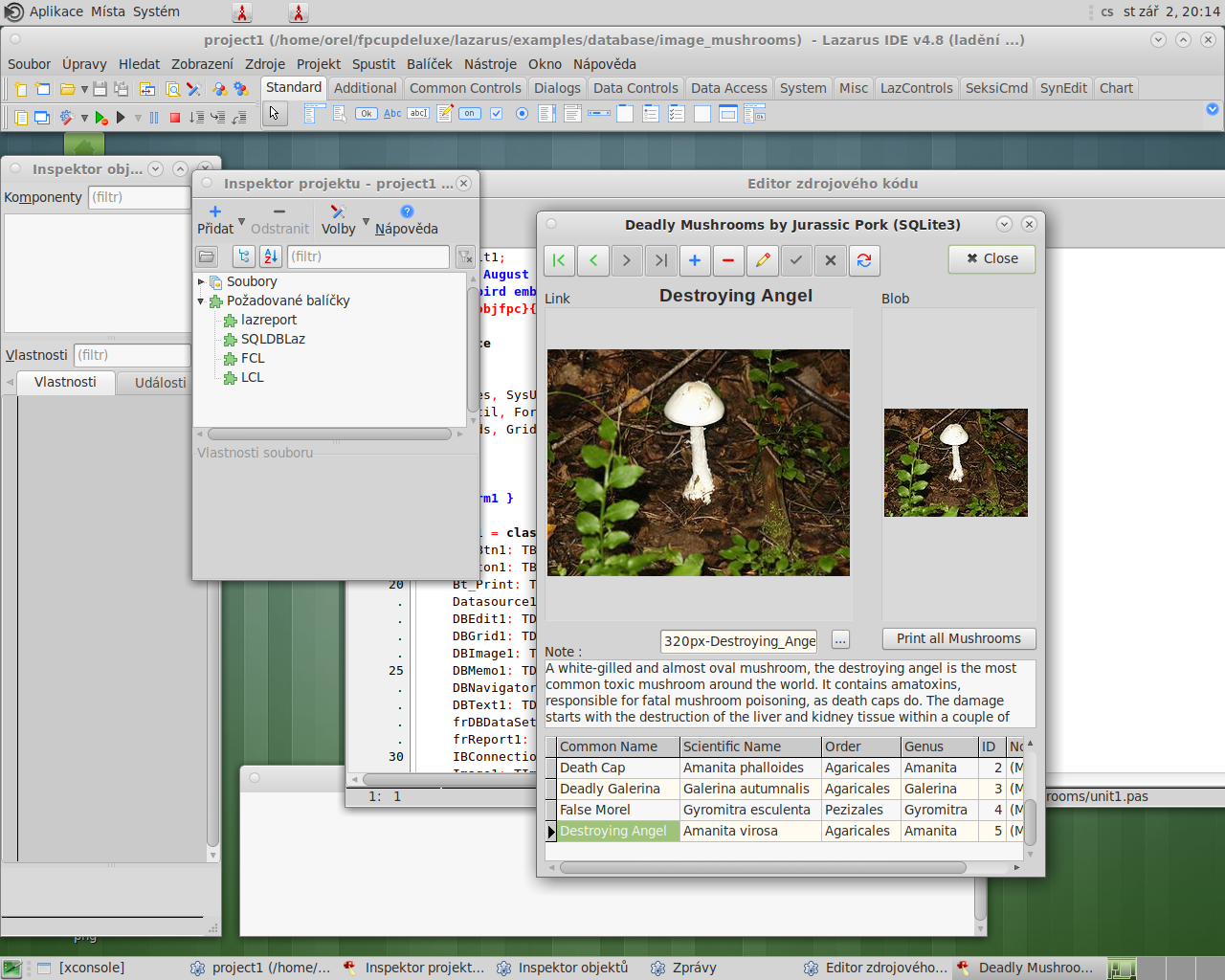 NetBSD 32bitový desktop