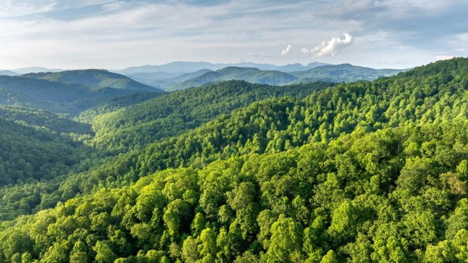 Shutterstock.com