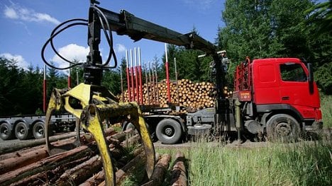 Náhledový obrázek - Lesy ČR válcují svůj bavorský protějšek, přesto mají špatnou pověst