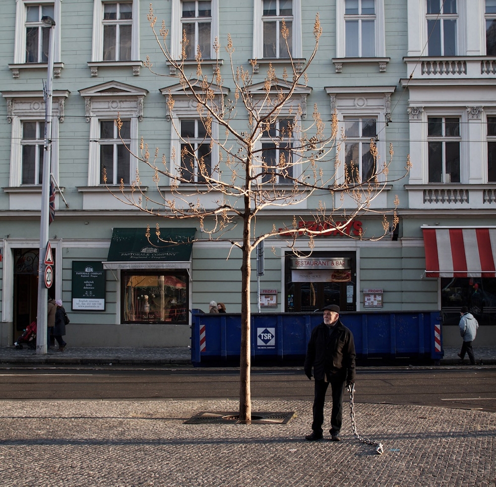 Česká verze Benidorm Bastarde, skryté kamery s důchodci, na Nově