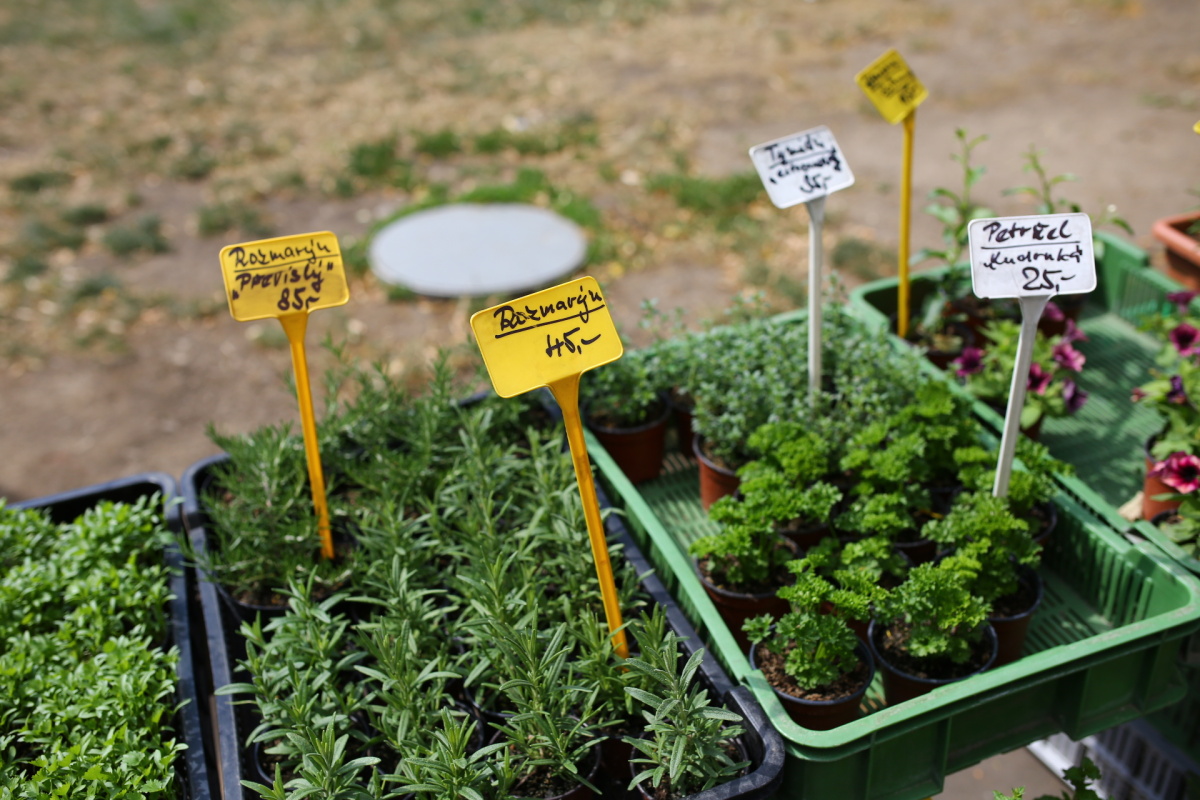 Farmářské tržiště Jiřák