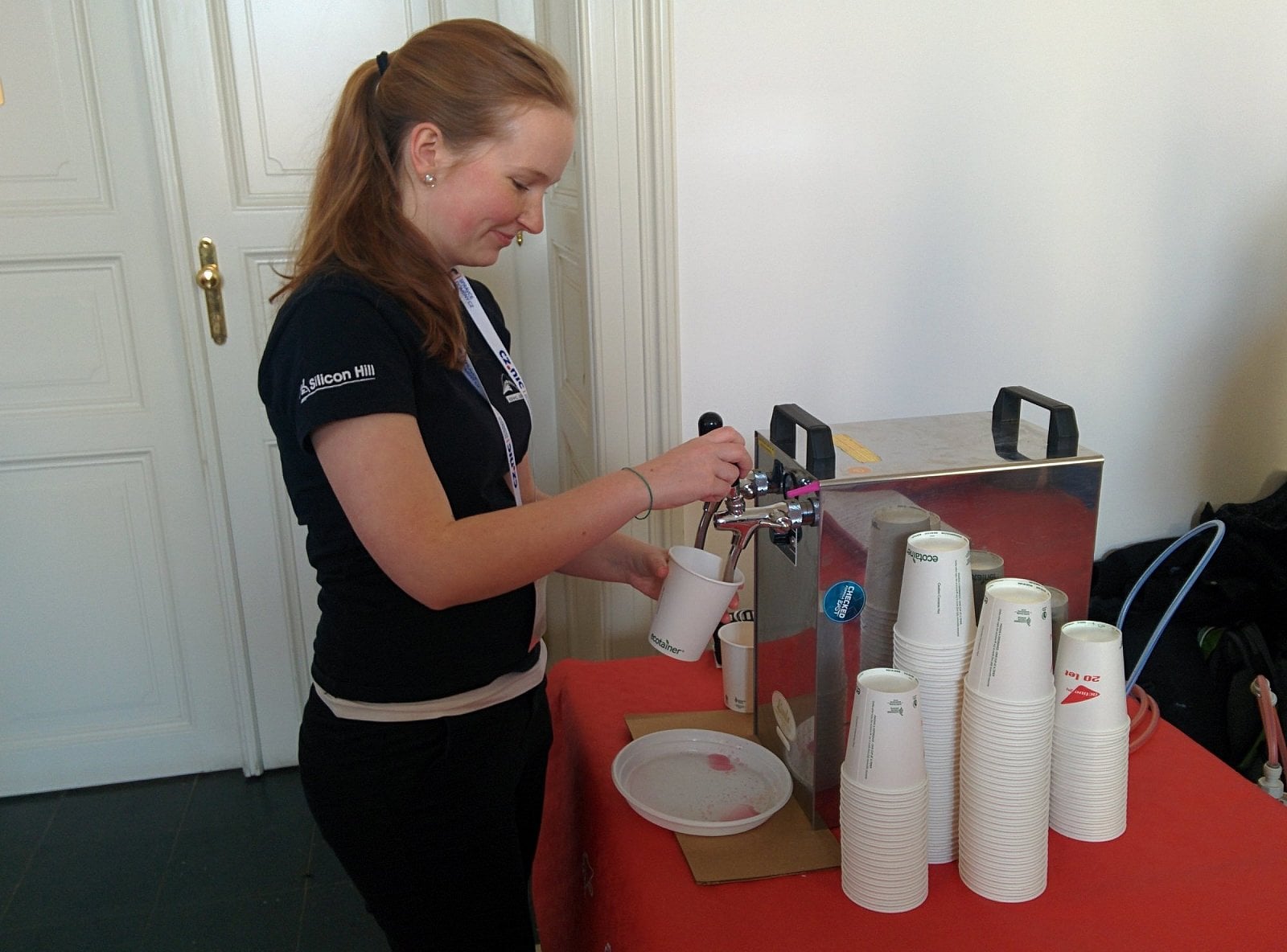 InstallFest 2018 sobota