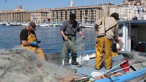 Náhledový obrázek - Světová spotřeba ryb je neudržitelná. Řešením mohou být farmy i využití odpadu